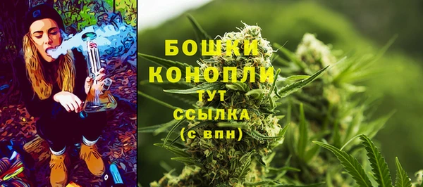 мяу мяу мука Беломорск