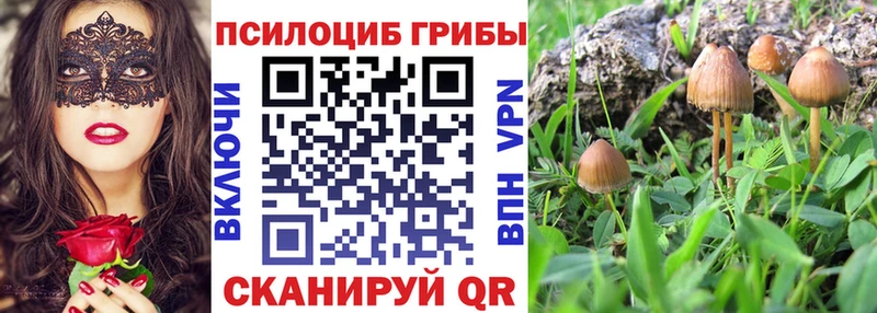 Купить  Приморск  Галлюциногенные грибы GOLDEN TEACHER 