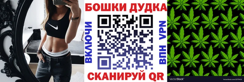 Конопля сатива  Купить закладки  Приморск 